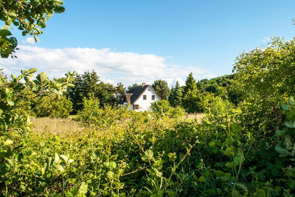Dat Witte Hus Moritzdorf Ruegen Ferienwohnungen - Ruhige Lage Exterior foto